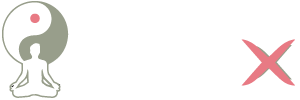 Island Group X logo